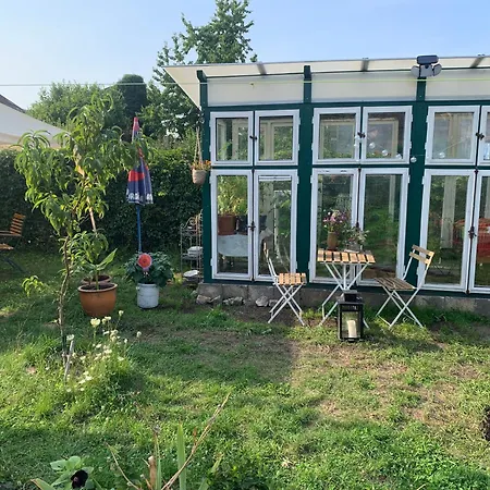 Kokon Grosbliederstroff